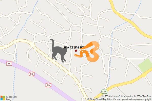 לכידת נחש בראמה