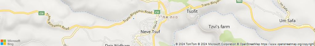 חלמיש